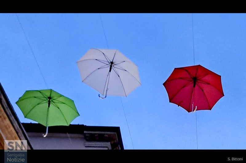 25/11/2023 - Tricolore di ombrelli