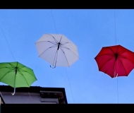 25/11/2023 - Tricolore di ombrelli
