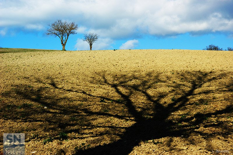 14/11/2024 - Paesaggi a colori