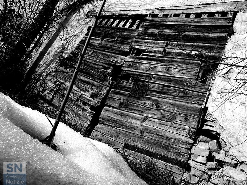 22/11/2025 - Porta gelata