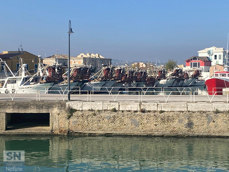 30/11/2025 - Passeggio al porto