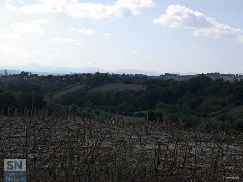 17/10/2021 - Campi autunnali