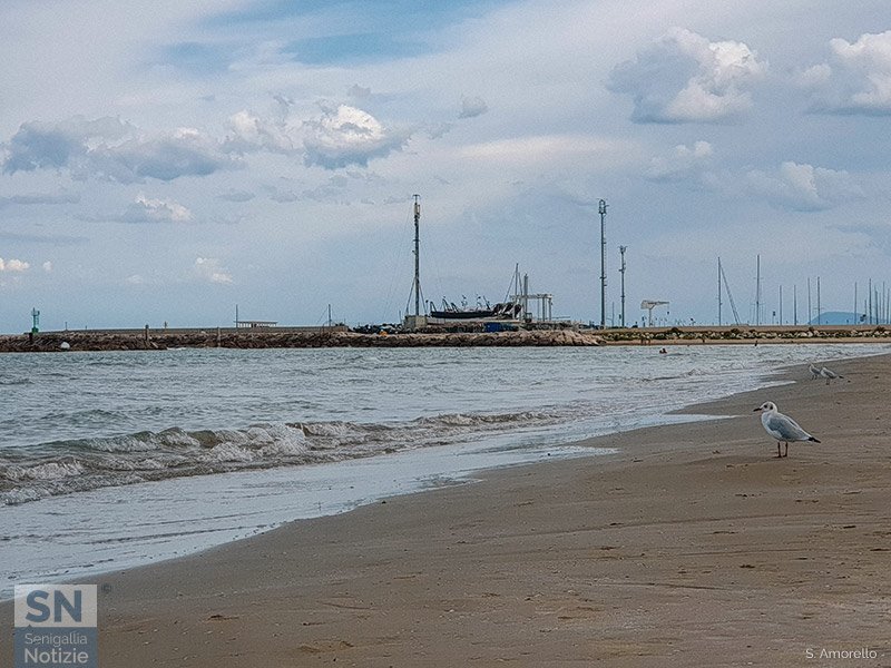 14/10/2022 - L'attesa in riva al mare