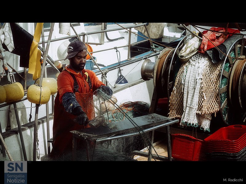 24/10/2022 - Un pescatore a Senigallia