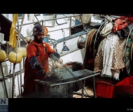 24/10/2022 - Un pescatore a Senigallia