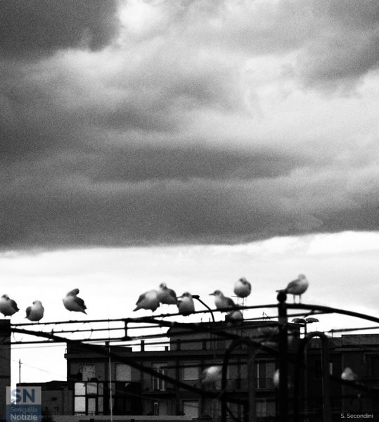 03/10/2025 - Temporale in arrivo