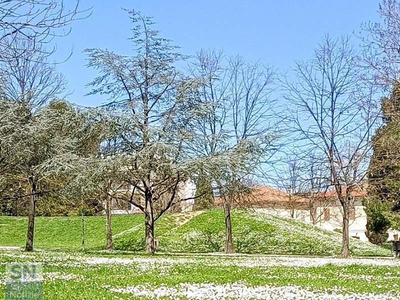 30/10/2025 - Parco della Pace