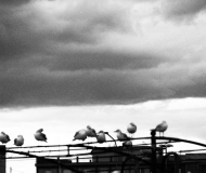 03/10/2025 - Temporale in arrivo