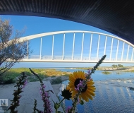 08/10/2025 - Fior di ponte