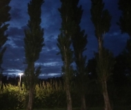 10/10/2025 - Bagliore notturno