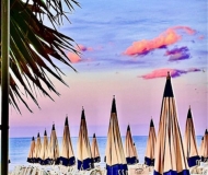 24/10/2025 - Ricordo di fine estate in rosa