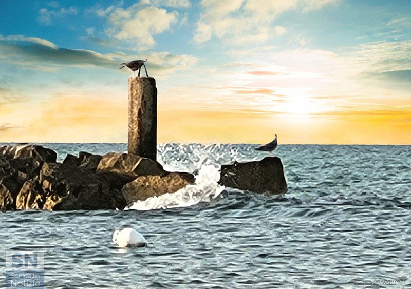 13/09/2022 - Gabbiani al tramonto