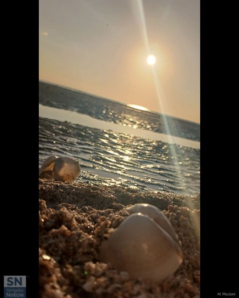 03/09/2023 - Dalla conchiglia al sole