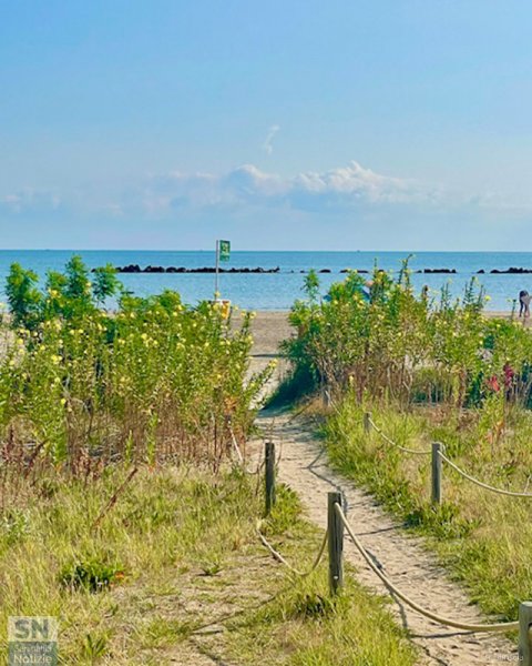 19/09/2025 - Spiaggia di ponente fiorita