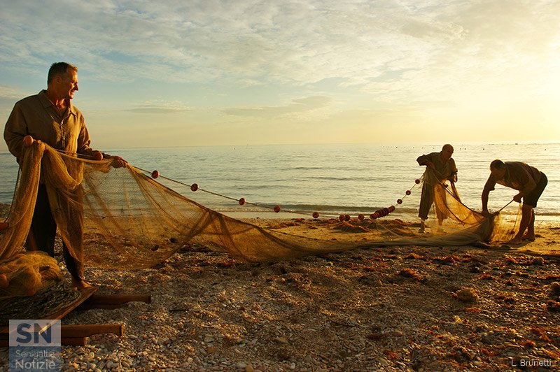 28/09/2025 - La tratta al Cesano