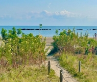 19/09/2025 - Spiaggia di ponente fiorita