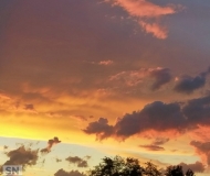 22/09/2025 - Dialogo tra dinosauri