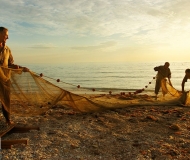 28/09/2025 - La tratta al Cesano