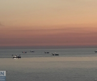 05/09/2026 - Flotta di vongolai all'alba