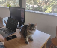 07/09/2026 - Lavorare in smart working
