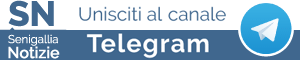 Iscriviti al canale Telegram di Senigallia Notizie e ricevi i principali aggiornamenti