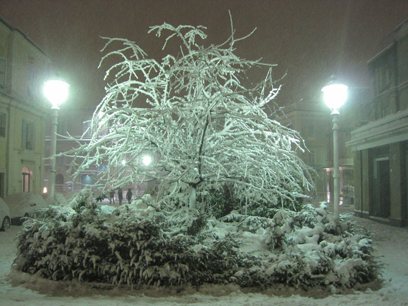 Senigallia, Piazza Saffi "ibernata"