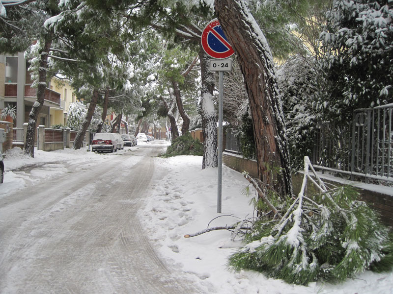 Anche in via Pescara rami spezzati