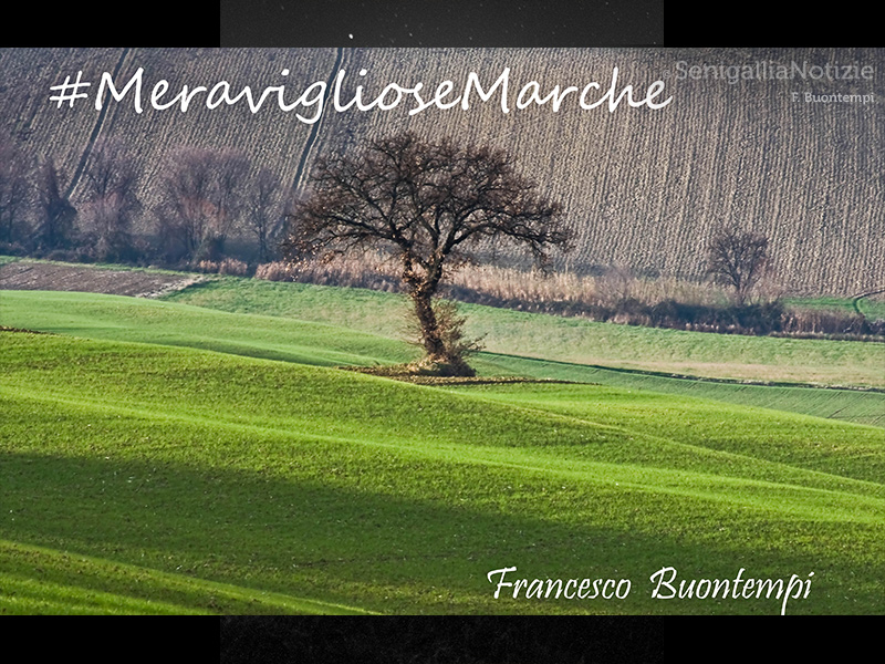 15/08/2015 - Meravigliose Marche