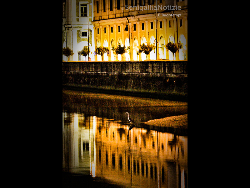 17/08/2015 - Riflessi nell'acqua