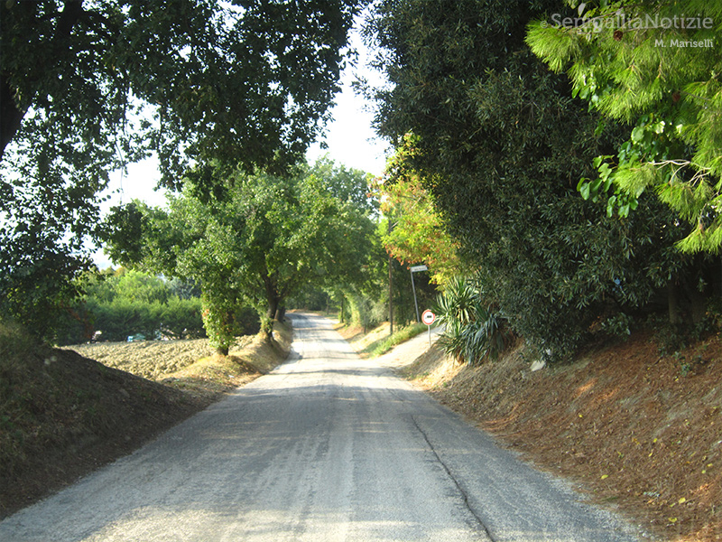 27/08/2015 - Stradina di campagna