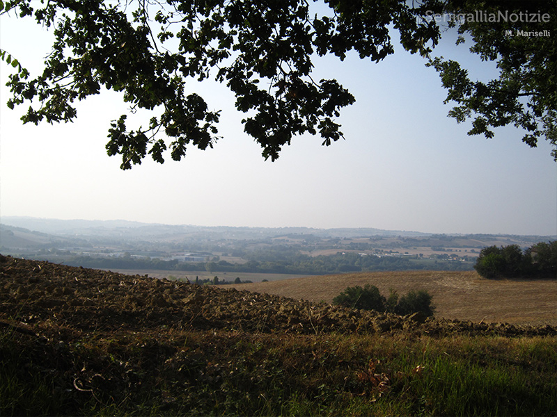 29/08/2015 - Panorama di campagna