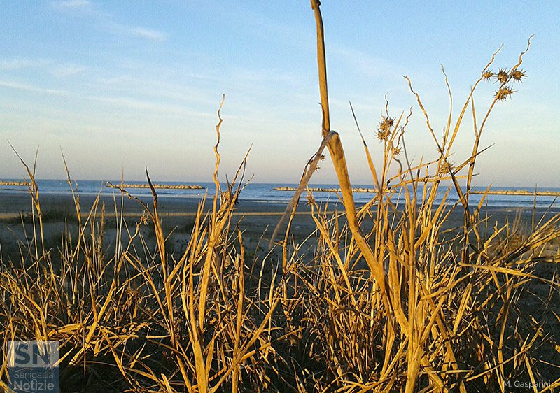 10/08/2016 - Tiepido sole