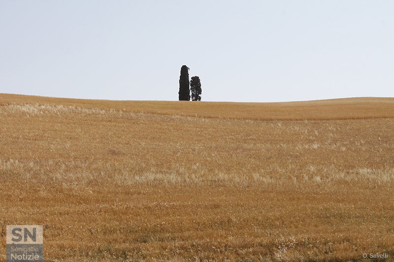 24/08/2017 - Solitudine