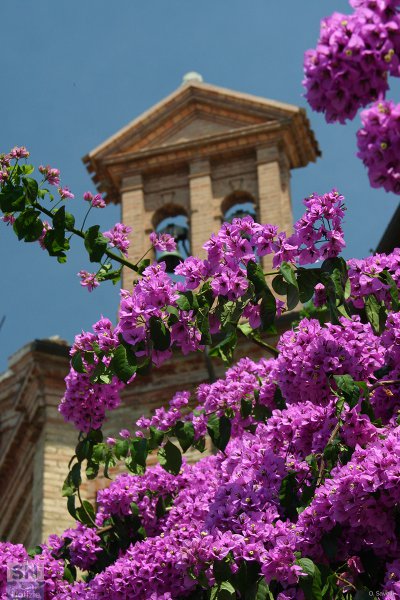 30/08/2017 - Campanile corinaldese
