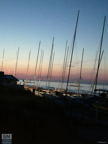 11/08/2019 - "Alberi" al tramonto