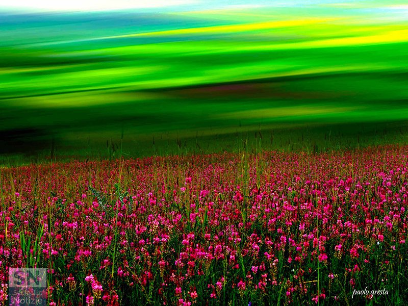 29/08/2019 - Paesaggi marchigiani