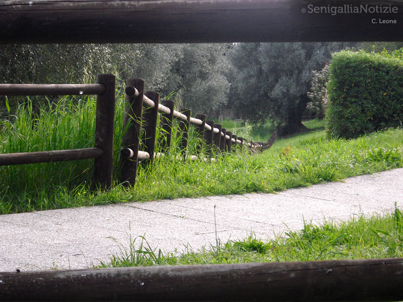 10/04/2012 - Il recinto nell'uliveto