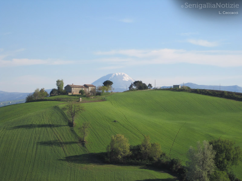 11/04/2012 - La cima del S. Vicino imbiancata dopo la Pasqua