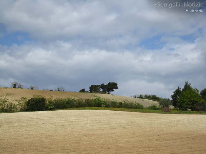 24/04/2012 - Le colline senigalliesi