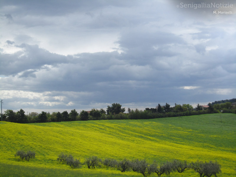 25/04/2012 - Nuvole in cielo