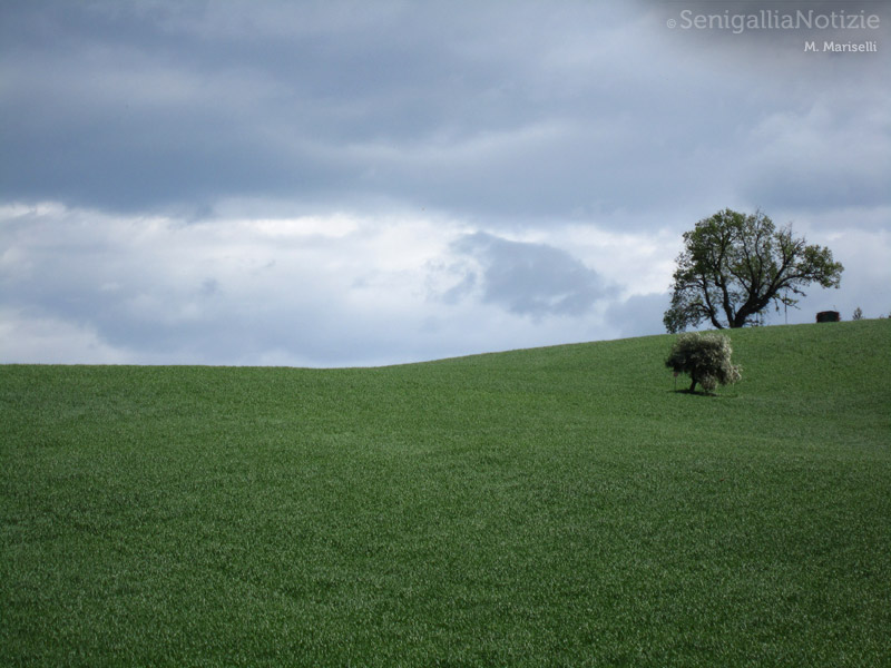 26/04/2012 - Nuvole sopra le colline