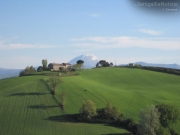 11/04/2012 - La cima del S. Vicino imbiancata dopo la Pasqua