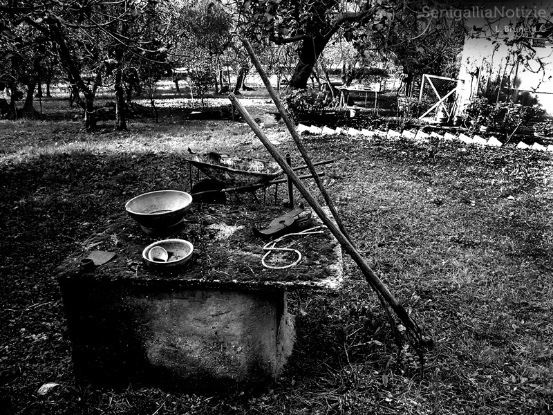 07/04/2013 - Scene di campagna in bianco e nero