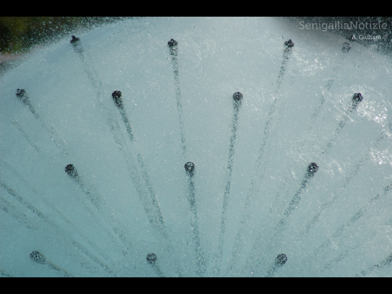 09/04/2013 - fontana