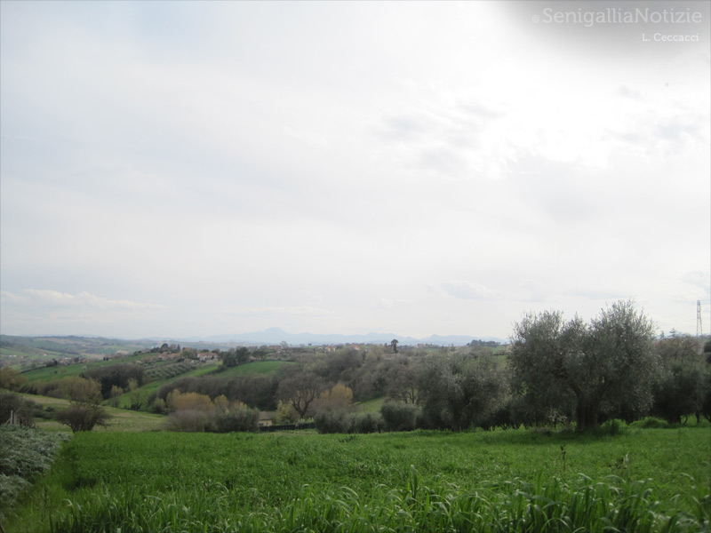 20/04/2013 - L'entroterra senigalliese