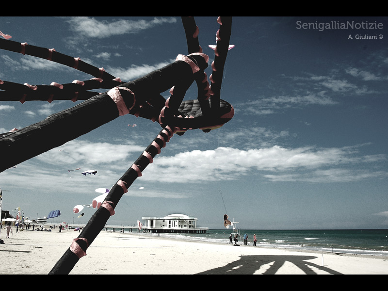 25/04/2013 - Una giornata al mare con gli aquiloni!