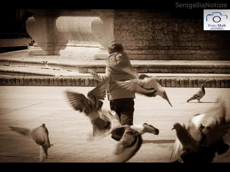 01/04/2014 - La spensieratezza di un bimbo che insegue i volatili