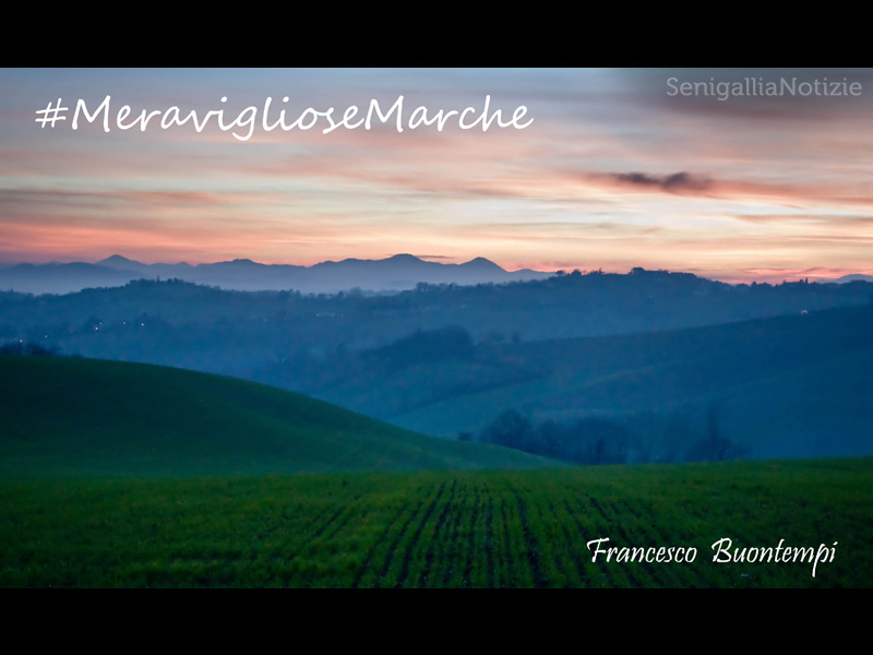 12/04/2014 - Meravigliose Marche