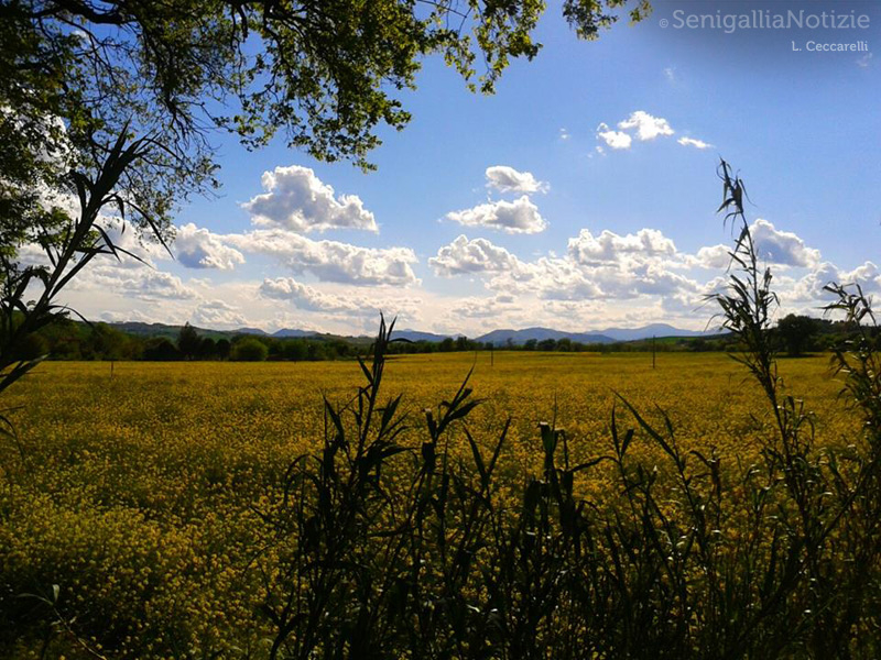 19/04/2014 - Marche pride!