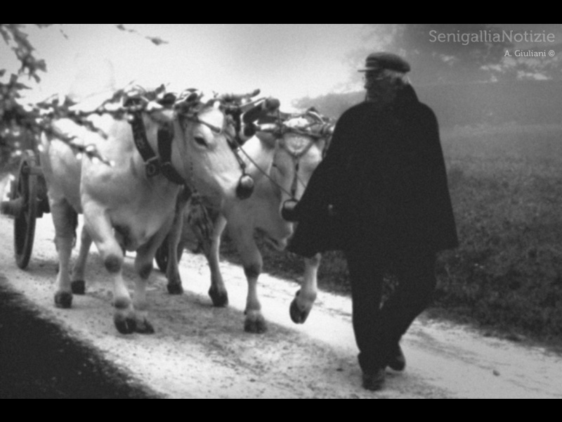 22/04/2014 - Mondo contadino